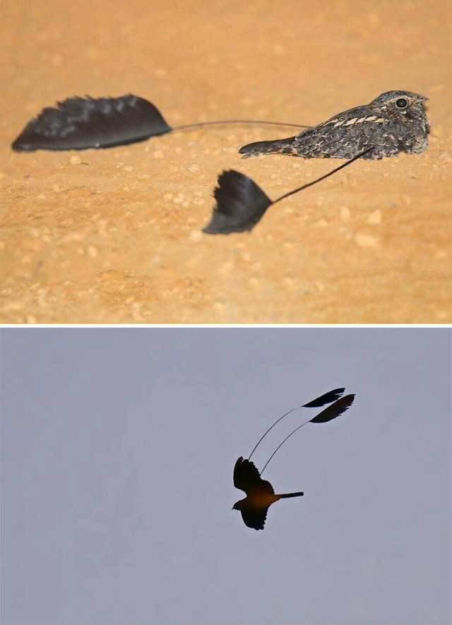 1-68d13ac3b412e__880