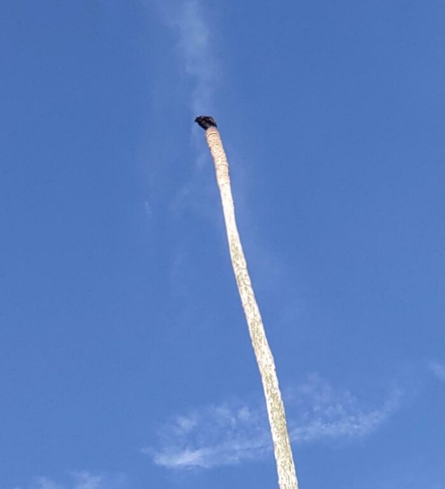 6847ec27d80c6_things-that-resemble-other-things