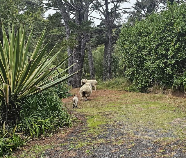 photos of your neighborhood that you took