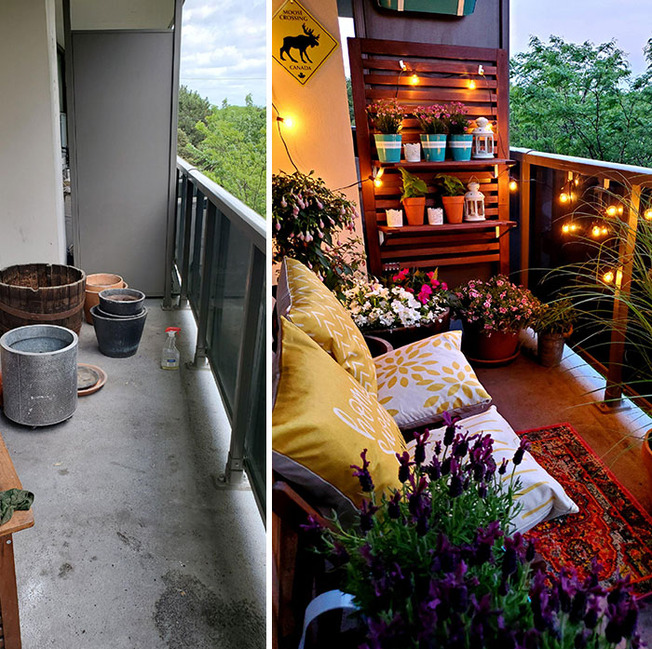 quarantine-covid-backyard-projects-1-61126f42d67fd__700