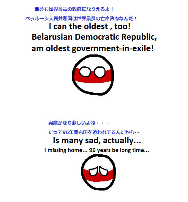 ポーランドボール 政府