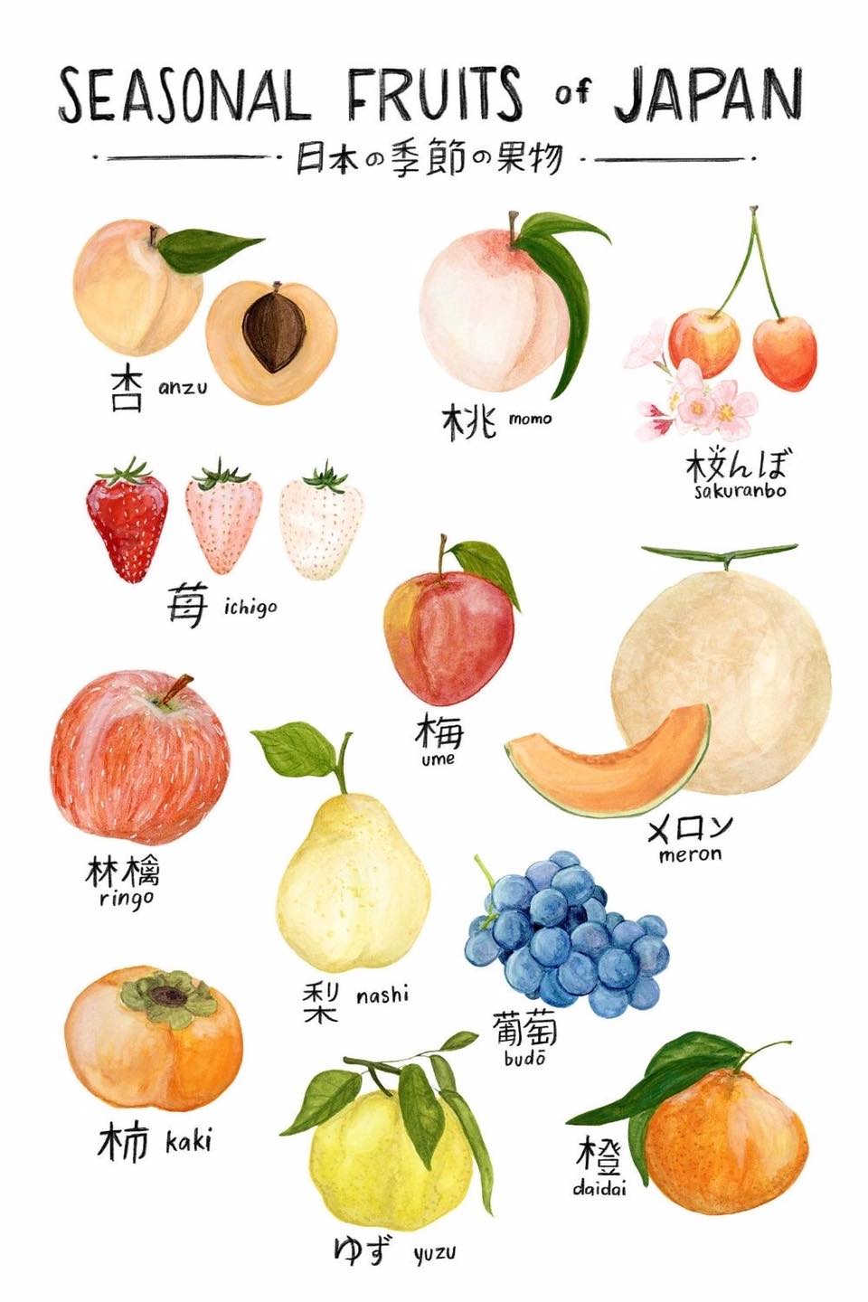 外国人 日本の季節の果物一覧をイラストにしてみたよー 海外の万国反応記 海外の反応