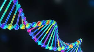 ダウンロード (3)