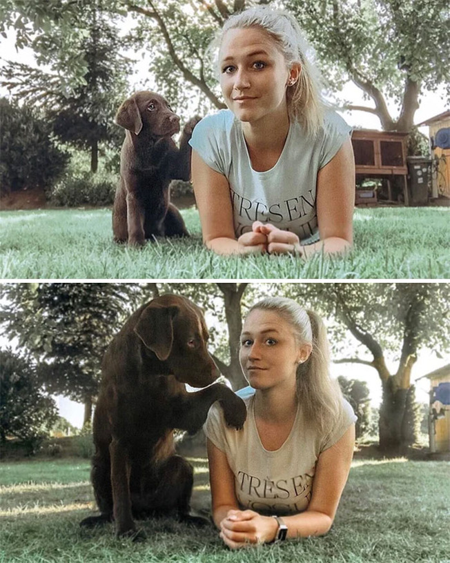 dogs-growing-up-301-60100bd7d70f8__700