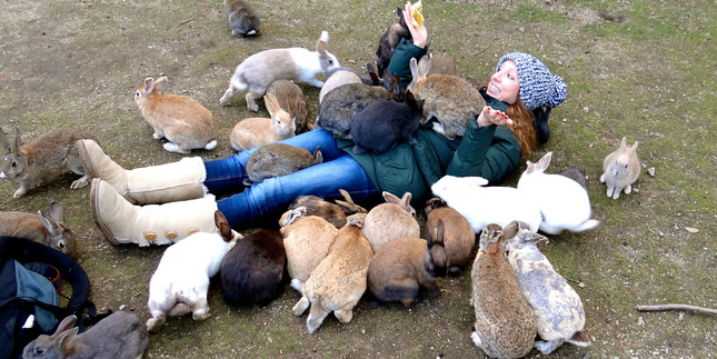 Rabbit_girlrs