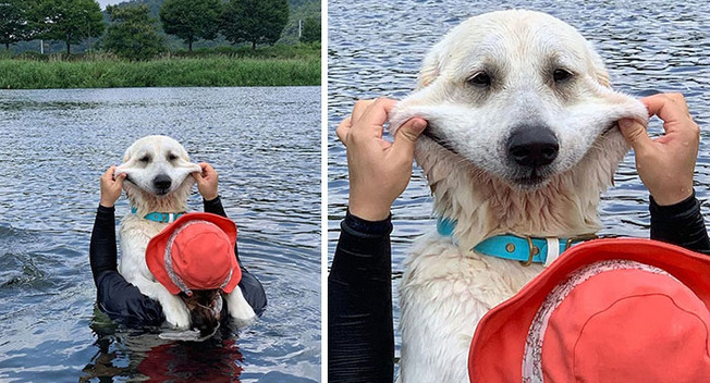 funny-dogs-extra-skin-stretchy-faces-47-5f6368673355b__700
