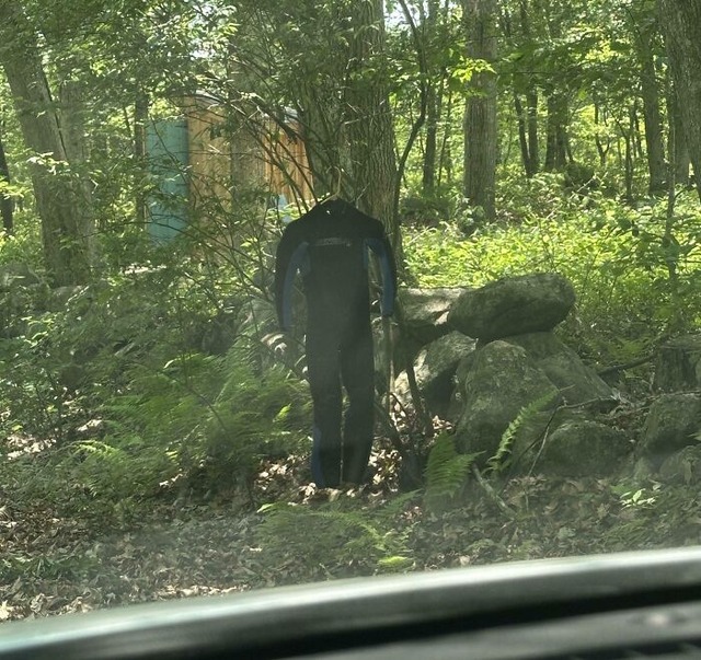 6870aec91a92d_creepy-weird-forest-finds