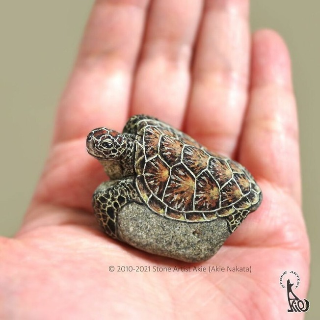 Akie-Nakata-Japanese-artist-turns-stones-into-art