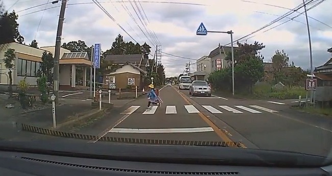 In Japan, traffic stops for schoolgirl