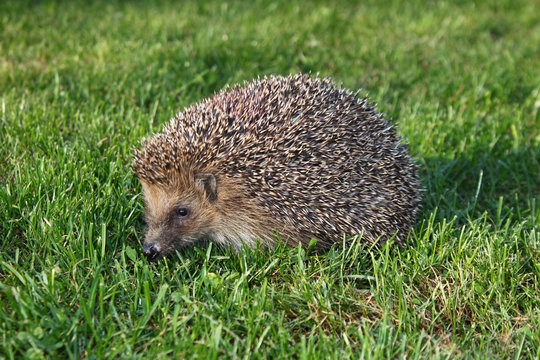 360_F_202622644_7iUafc0dbcrrPGnE