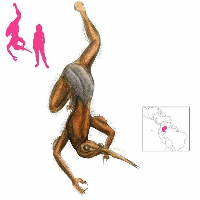 CcNYBlpqudQ-png__700 (1)