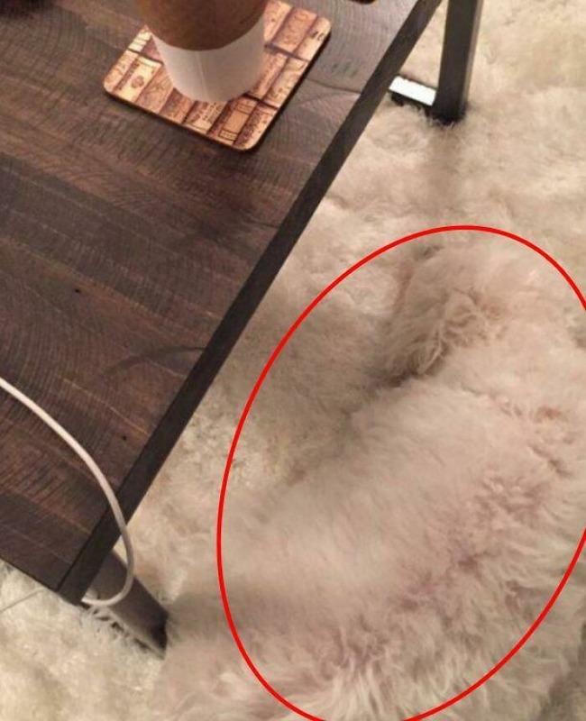 656d80403e93d_gy3q8auudzz51__700