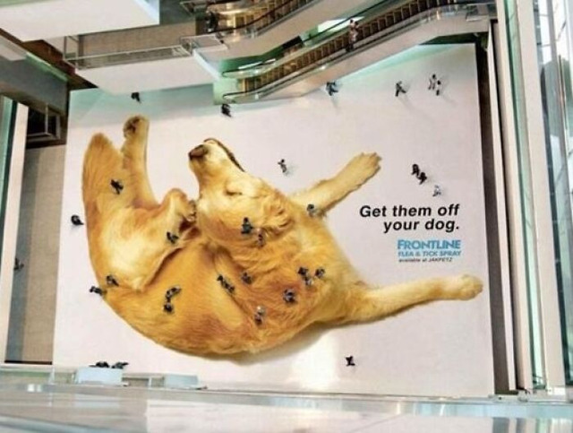 695cc9e12463a_funny-print-ads__7