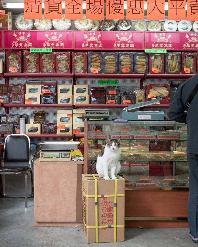 241235574_10161817360666840_5801326306736491012_n