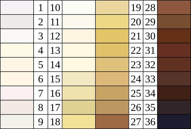 1588803995904 (1)