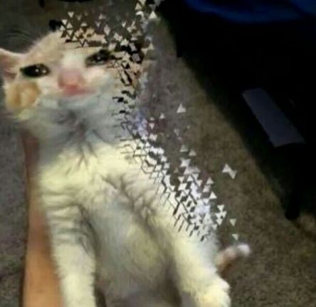 1757415006229348
