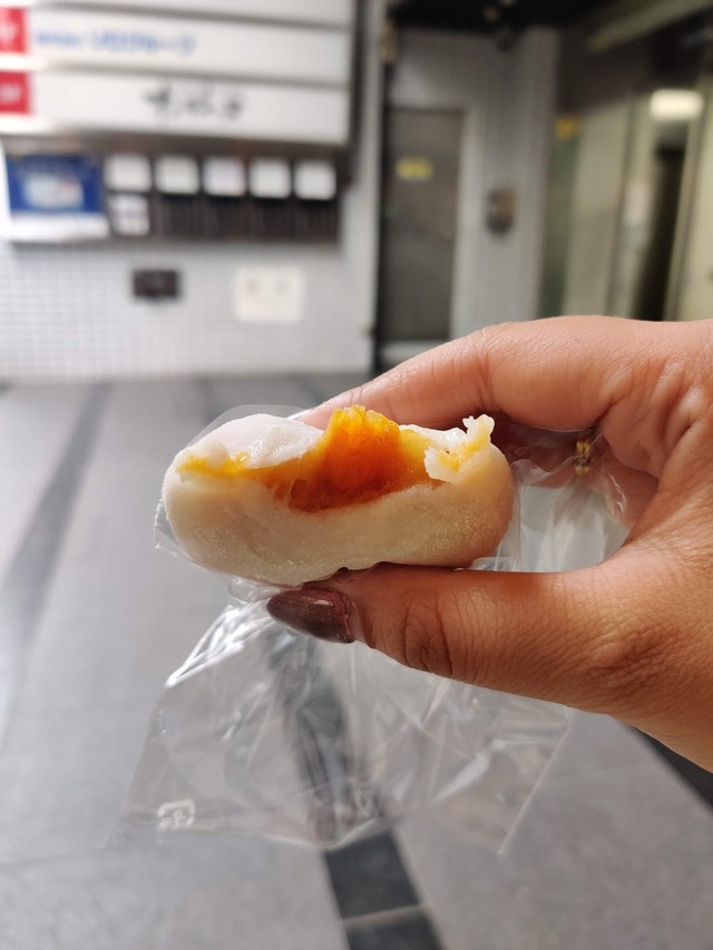 food-i-had-as-a-vegetarian-in-ja (20)