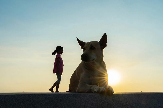 Photographer-takes-to-the-streets-capturing0