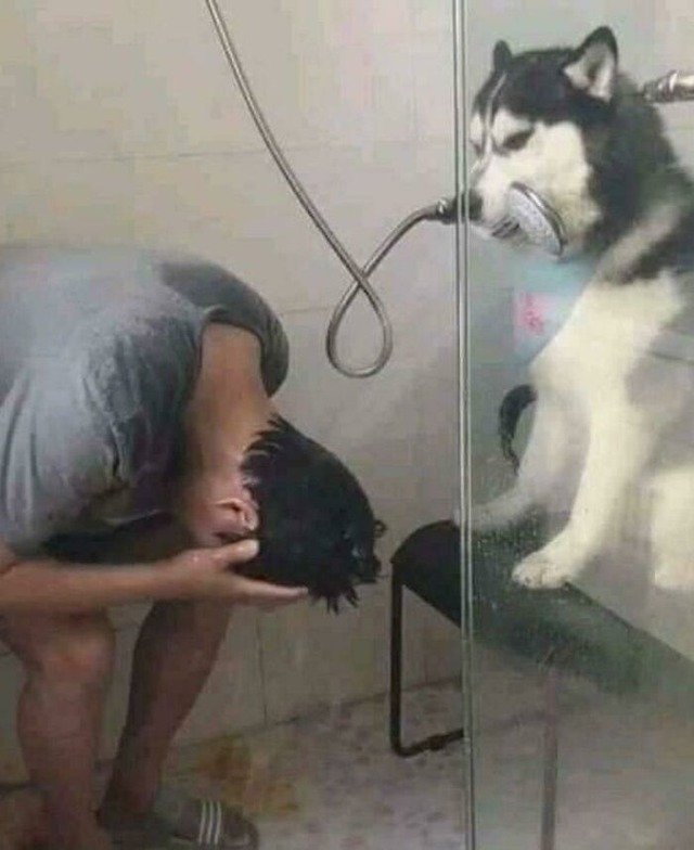 6992662dc0e74_8ihkjwb7xhje1-jpeg__700