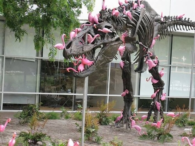 66756f7762ec8_weird-peculiar-bizarre-odd-images