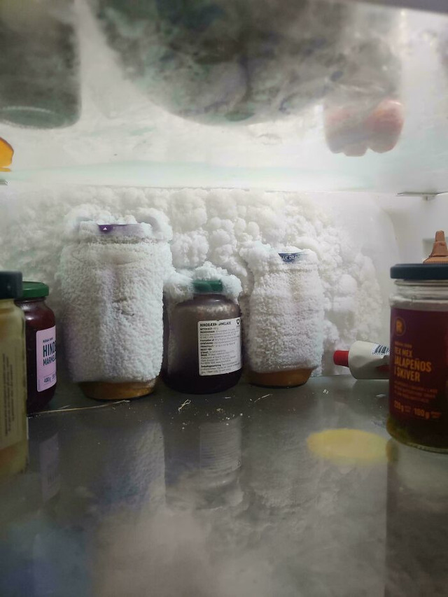 69bbcb6b6a498_f6s59apt26lf1-jpeg