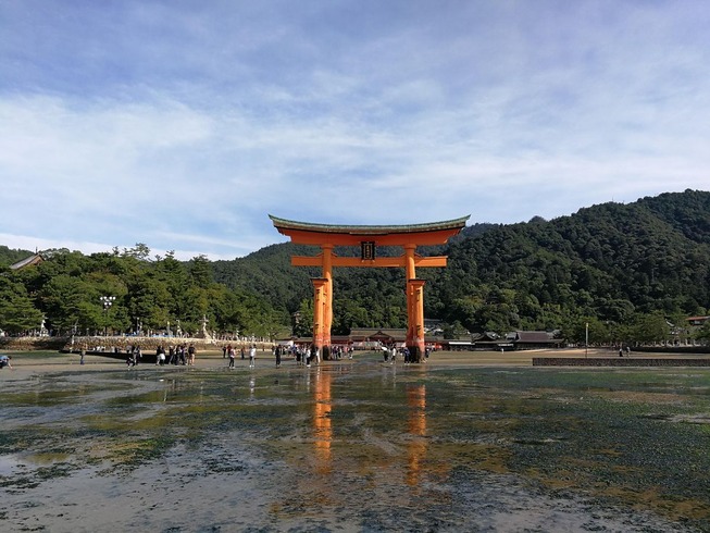1545299775698