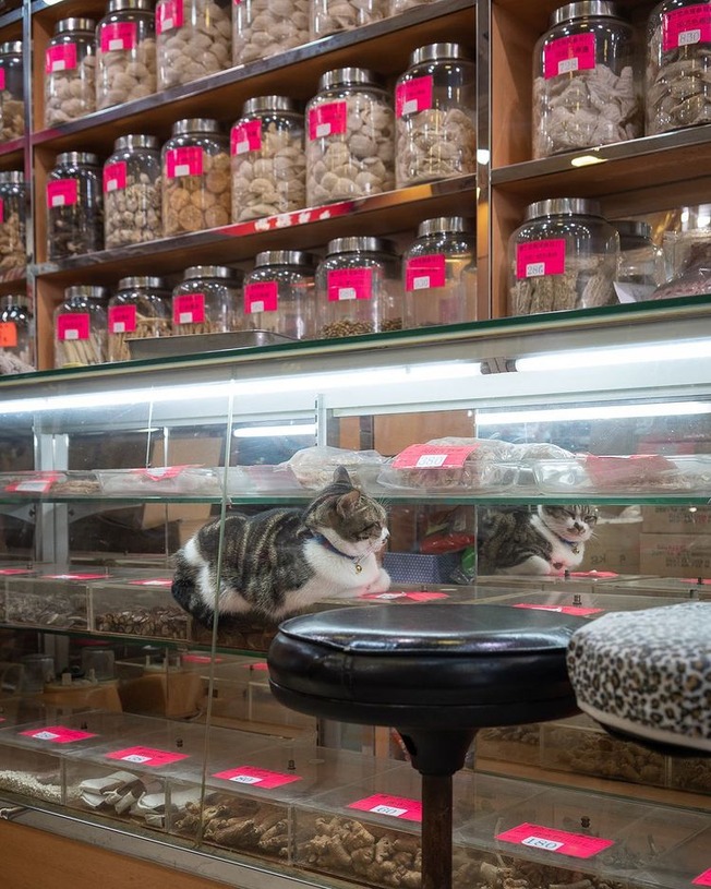 241164509_10161817360556840_165296071965051291_n