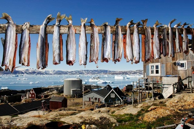 food-in-greenland