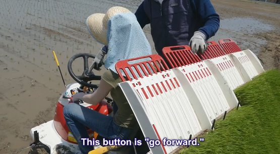 田植え 初挑戦 海外の反応