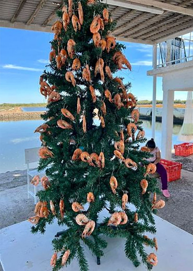 8-64422b189fe67__700