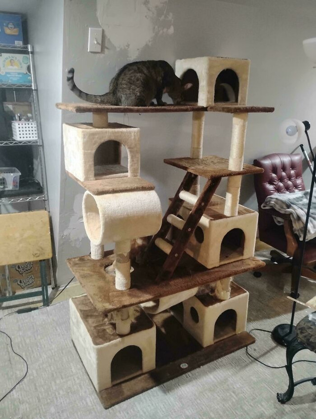 68a8b318bc92d_6hm5rnslk3kf1-jpeg