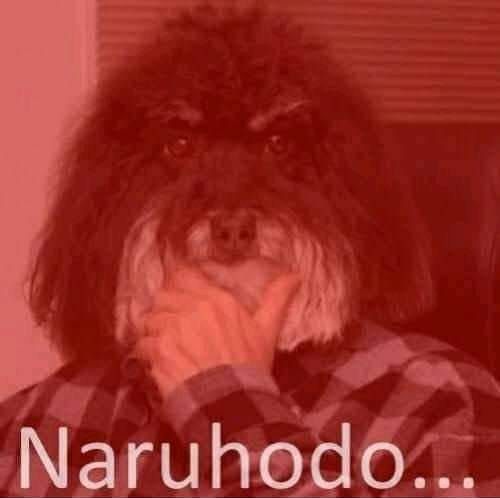 240853989_10159455743351125_8757794179447518260_n