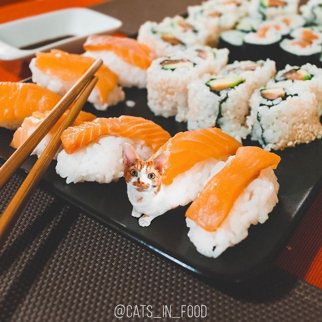 DC5794AC-2FF2-4BEB-B709-4D4E03888744-5b2a23ca29432-jpeg__700