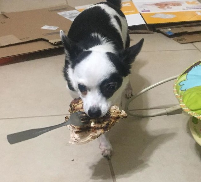 5f4513a9d2025_6259yts2ls6y__700