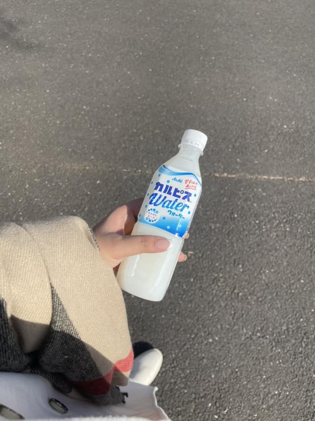 379862276_668883501878888_4009831022637253683_n