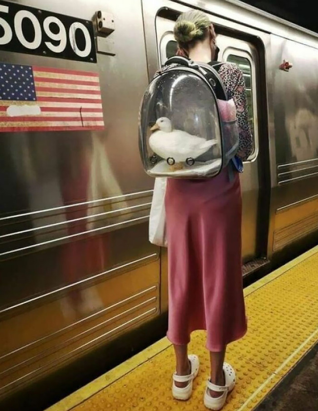 funny-subway-train-passengers-11-6193b95e1c940__700