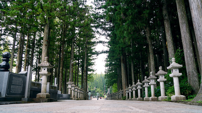 28 - Mount Koya - Okunoin Temple