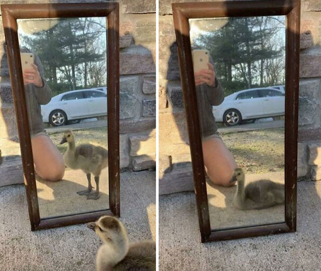funny-people-selling-mirrors-58-624c3c5d9fd78__700