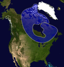 220px-Canadianshield
