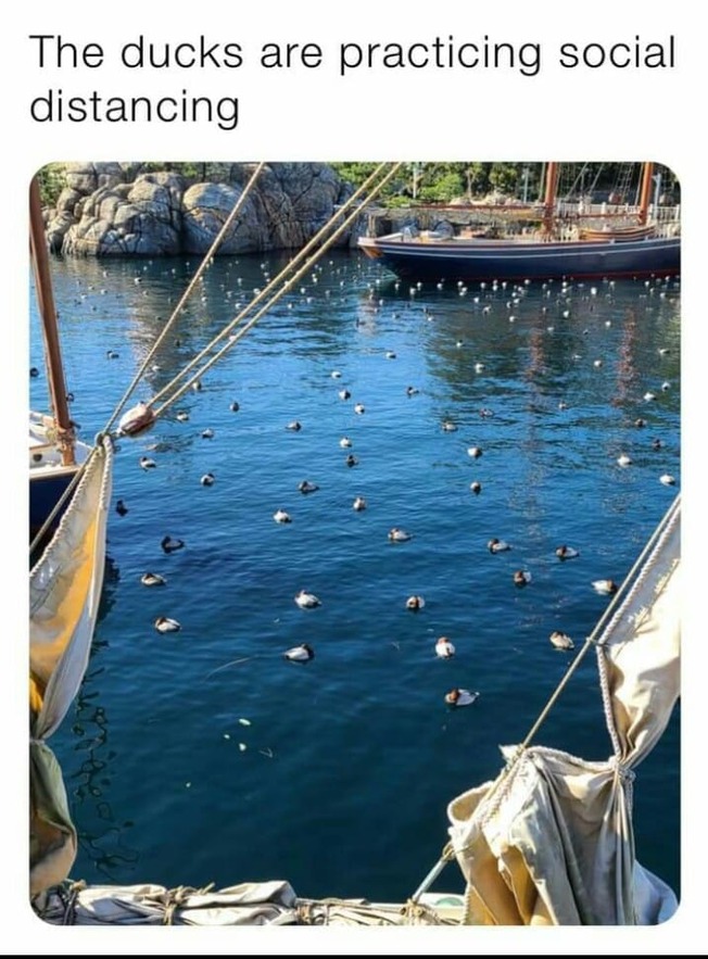 139934692_2863301047283866_7102579258828015067_o