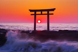 ダウンロード (5)