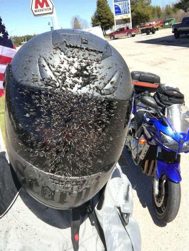 examples-wearing-helmet-is-important-02-62de5672ef11b__700