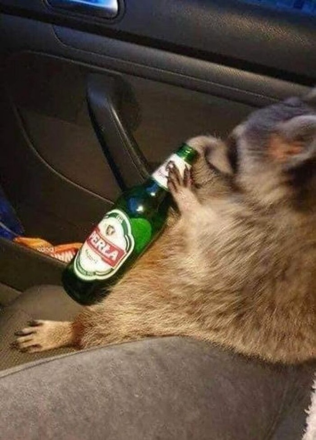 weird-funny-polish-profiles-pics-170-64882bc79dbf2__700