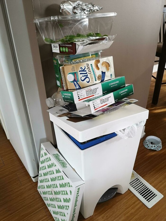 64bf6f55094cd_3sva1ufdqci21__700