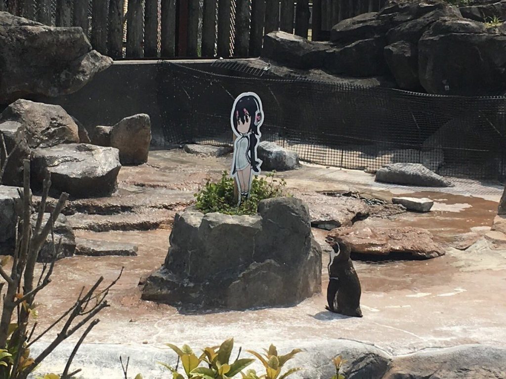 外国人 日本のペンギンが二次元の女の子に恋してしまったらしい けものフレンズ 海外の万国反応記 海外の反応 外国人 日本のペンギンが二次元の女の子に恋してしまったらしい けものフレンズ 海外の万国反応記 海外の反応