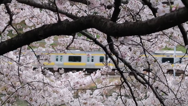 390da096-6214-4b18-9a3f-cdae26cbdad7