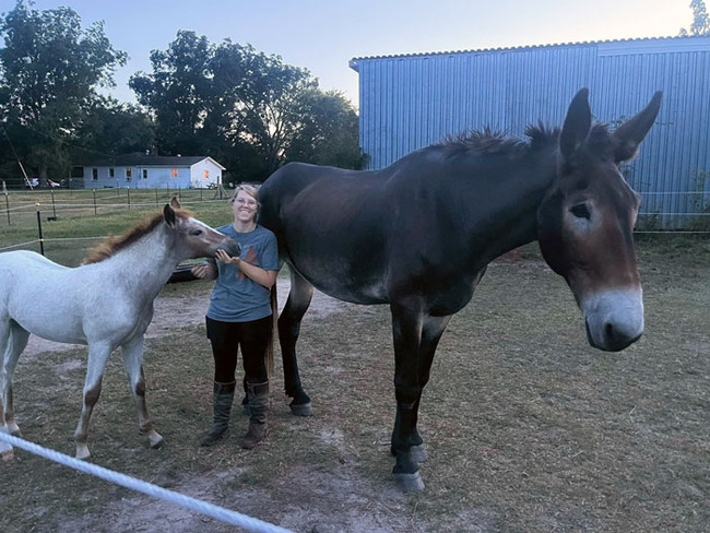 large-animals-7-66dffc6a562c2__700