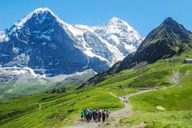 ダウンロード (13)