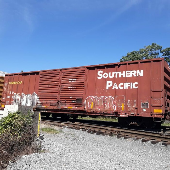 pet-parade-161-truck-bed-with-ki