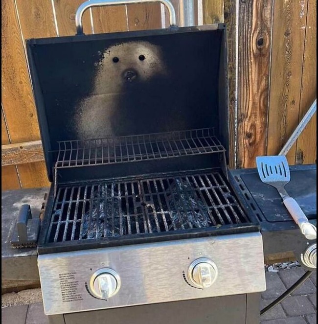 67865a73a65dd_pareidolia-pictures